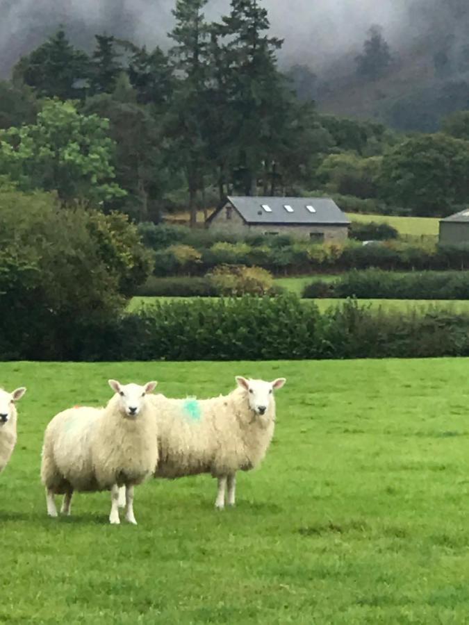 Chic Cottage Near Elan Valley And Builth Wells Llanwrthwl Exterior foto